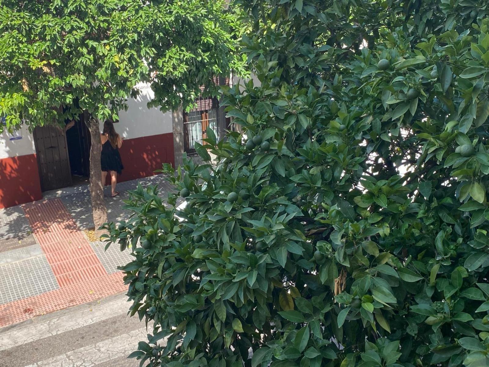 La Escalerita * Córdova