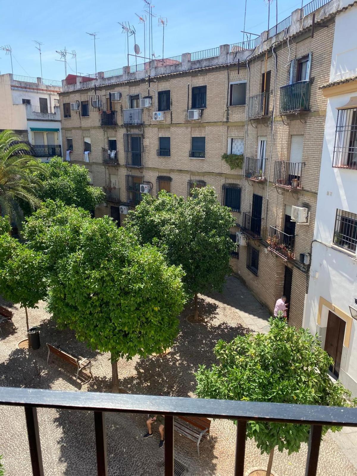 La Escalerita Homestay